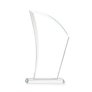 Agassi VividPrint™ Award