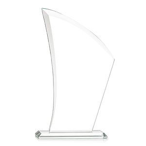 Agassi VividPrint™ Award