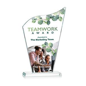 Hepscott VividPrint™ Award