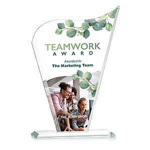 Hepscott VividPrint™ Award