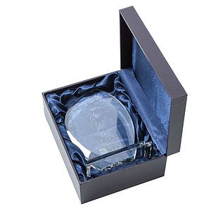 Wichita VividPrint™ Award on Newhaven Base - Amber