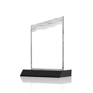 Oakwood VividPrint™ Award - Black 