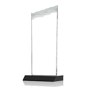 Oakwood VividPrint™ Award - Black 