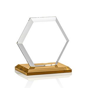 Barnett VividPrint™ Award - Amber
