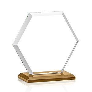 Barnett VividPrint™ Award - Amber