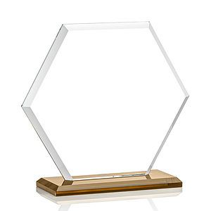 Barnett VividPrint™ Award - Amber