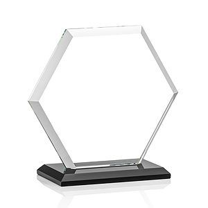 Barnett VividPrint™ Award - Black