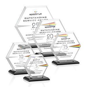 Barnett VividPrint™ Award - Black