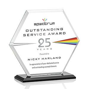 Barnett VividPrint™ Award - Black