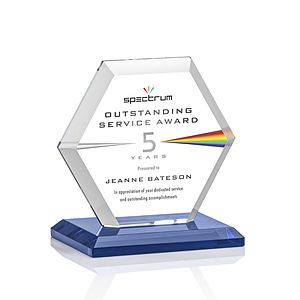 Barnett VividPrint™ Award - Blue