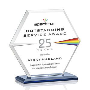 Barnett VividPrint™ Award - Blue
