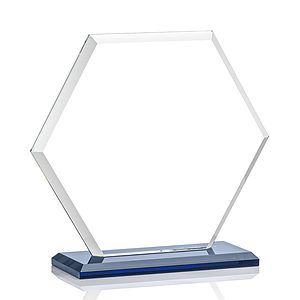 Barnett VividPrint™ Award - Blue