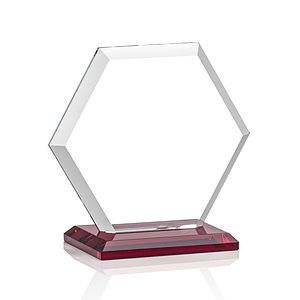 Barnett VividPrint™ Award - Red