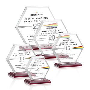 Barnett VividPrint™ Award - Red