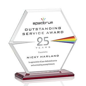 Barnett VividPrint™ Award - Red