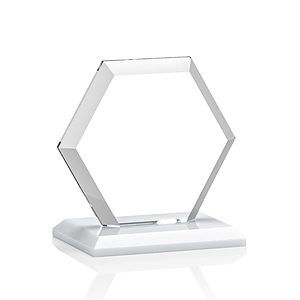 Barnett VividPrint™ Award - White