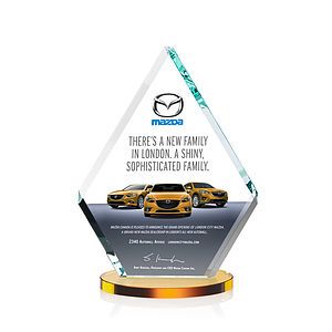 Canton VividPrint™ Award - Amber