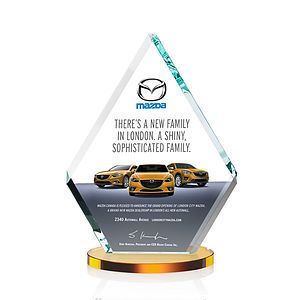 Canton VividPrint™ Award - Amber