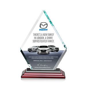  Canton VividPrint™ Award - Albion™