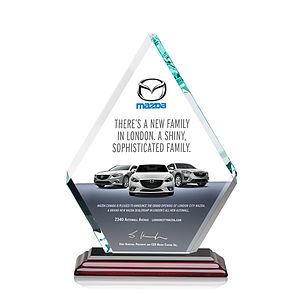  Canton VividPrint™ Award - Albion™