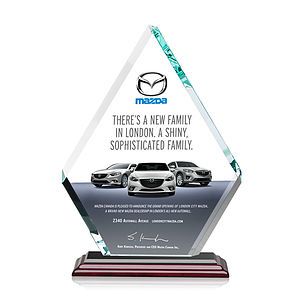  Canton VividPrint™ Award - Albion™