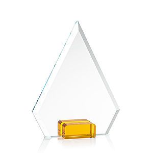 Charlotte VividPrint™ Award - Amber