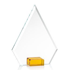 Charlotte VividPrint™ Award - Amber