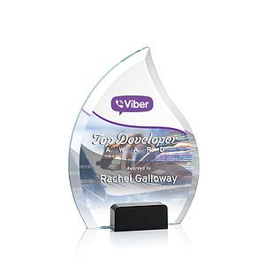 Romy VividPrint™ Award - Black