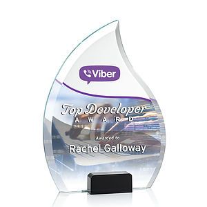 Romy VividPrint™ Award - Black