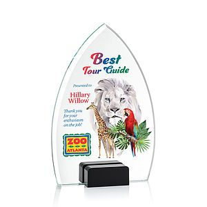 Aylin VividPrint™ Award - Black