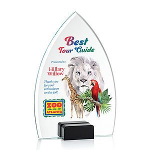 Aylin VividPrint™ Award - Black