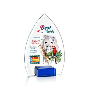 Aylin VividPrint™ Award - Blue