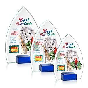 Aylin VividPrint™ Award - Blue