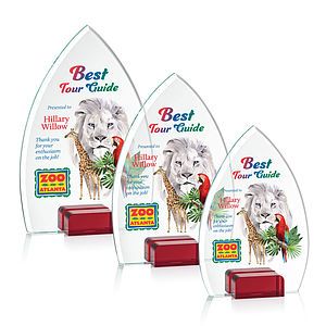 Aylin VividPrint™ Award - Red