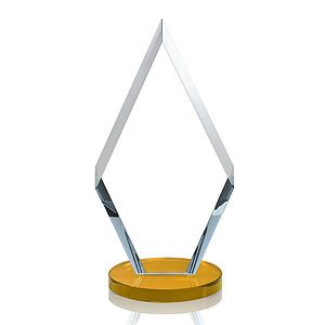 Cancun VividPrint™ Award - Amber