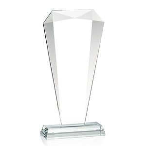 Foster VividPrint™ Award