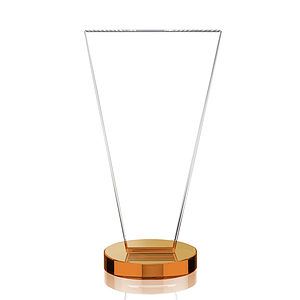 Burney VividPrint™ Award - Amber