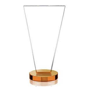 Burney VividPrint™ Award - Amber