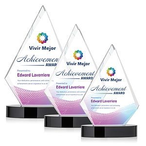 Sarasota VividPrint™ Award - Black
