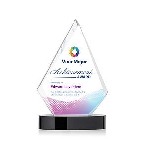 Sarasota VividPrint™ Award - Black