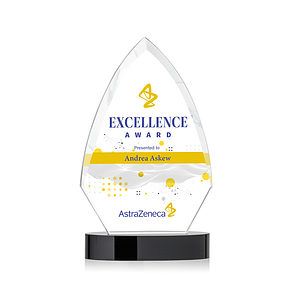 Idaho VividPrint™ Award - Black