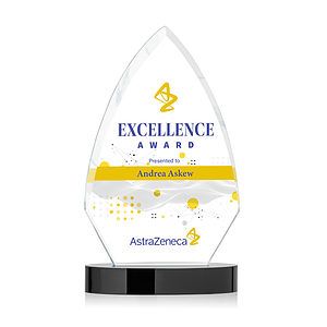 Idaho VividPrint™ Award - Black