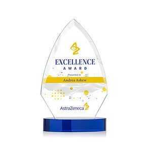 Idaho VividPrint™ Award - Blue