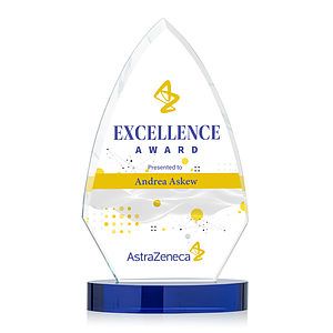 Idaho VividPrint™ Award - Blue