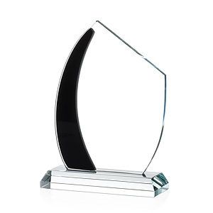 Hausner VividPrint™ Award - Black