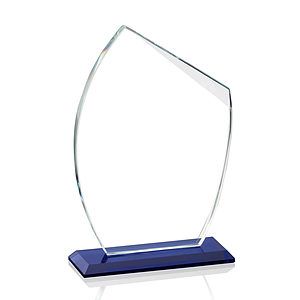 Winston VividPrint™ Award