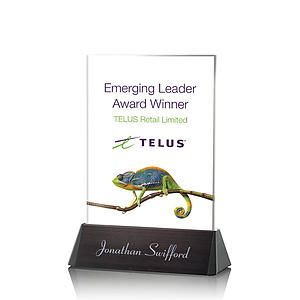 Sierra Rectangle VividPrint™ Award