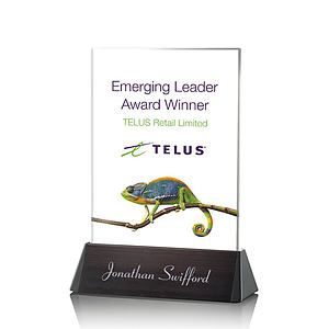 Sierra Rectangle VividPrint™ Award