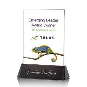 Sierra Rectangle VividPrint™ Award