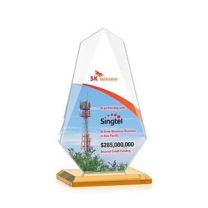 Jemma VividPrint™ Award - Amber
